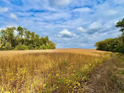 tbd Dump Hl, Rushford, MN 55971 photo 24