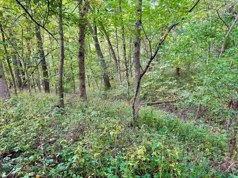 tbd Dump Hl, Rushford, MN 55971 photo 21