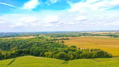 tbd Dump Hl, Rushford, MN 55971