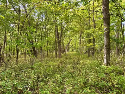 tbd Dump Hl, Rushford, MN 55971 photo 30