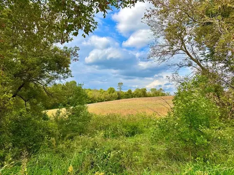 tbd Dump Hl, Rushford, MN 55971 photo 2