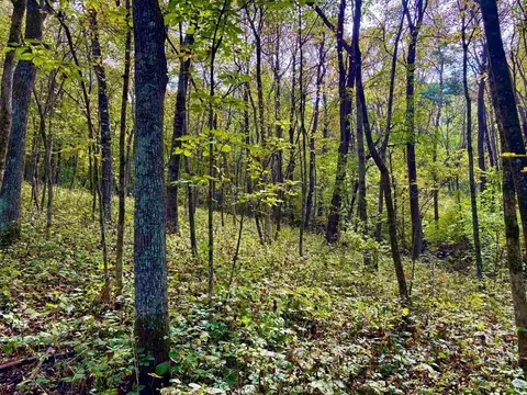 tbd Dump Hl, Rushford, MN 55971 photo 42