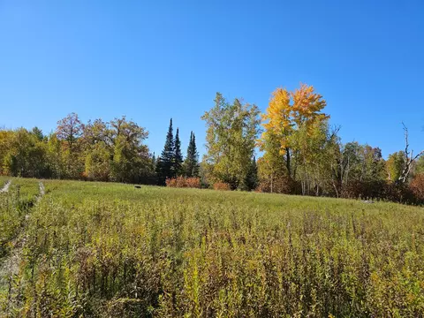 tbd 170th Ln, Mcgrath, MN 56350 photo 40