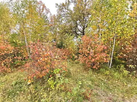tbd 170th Ln, Mcgrath, MN 56350 photo 14
