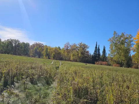 tbd 170th Ln, Mcgrath, MN 56350 photo 41