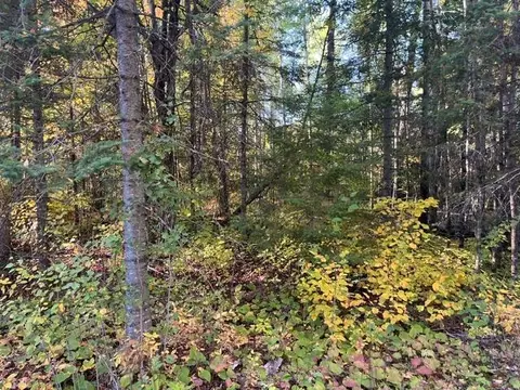 tbd Lost Lake Rd, Tower, MN 55790 photo 2