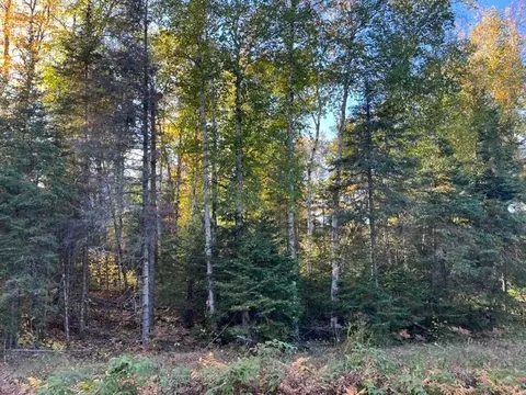 tbd Lost Lake Rd, Tower, MN 55790 photo 9
