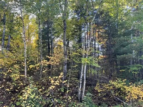 tbd Lost Lake Rd, Tower, MN 55790 photo 10