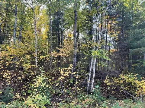 tbd Lost Lake Rd, Tower, MN 55790 photo 11