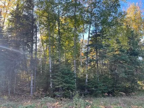 tbd Lost Lake Rd, Tower, MN 55790 photo 8