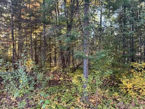 tbd Lost Lake Rd, Tower, MN 55790 photo 3