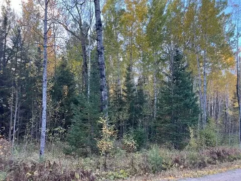 tbd Lost Lake Rd, Tower, MN 55790 photo 12