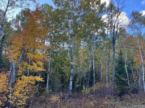 tbd Lost Lake Rd, Tower, MN 55790 photo 13