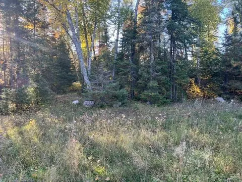 tbd Lost Lake Rd, Tower, MN 55790 photo 7