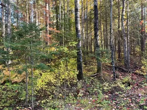 tbd Lost Lake Rd, Tower, MN 55790 photo 4