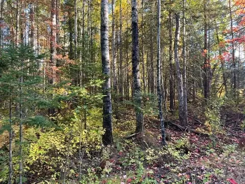 tbd Lost Lake Rd, Tower, MN 55790 photo 5