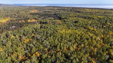 4603 North Rd, Hovland, MN 55604