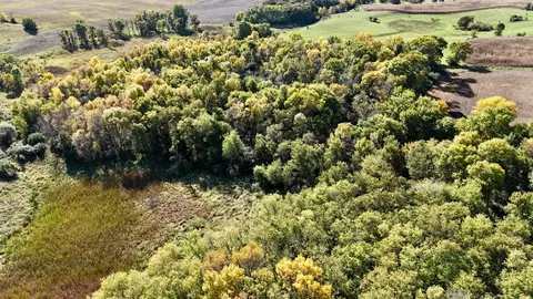 tbd 160th Ave, Ashby, MN 56309 photo 12