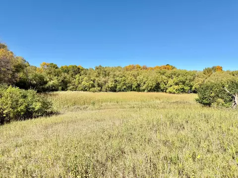 tbd 160th Ave, Ashby, MN 56309 photo 20