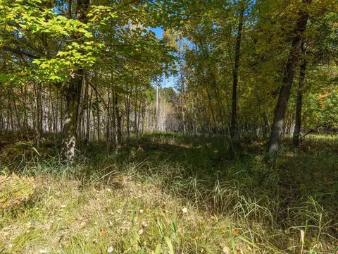 L1 B4 Drahos Road, Brainerd, MN 56401 photo 8