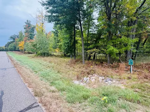 L1 B4 Drahos Road, Brainerd, MN 56401 photo 12