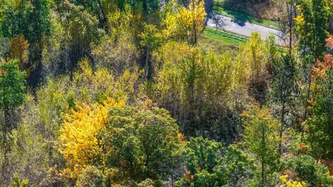 L1 B4 Drahos Road, Brainerd, MN 56401 photo 15