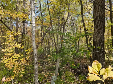 tbd Lot 2 Bunny Ln, Crosby, MN 56441