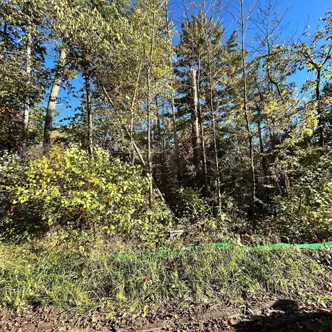 tbd Edna Lake Rd, Nisswa, MN 56468