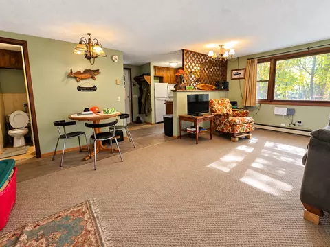 Living - 41748 Teal Rd, Bigfork, MN 56628 photo 2 of 4