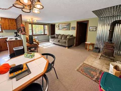 Living - 41748 Teal Rd, Bigfork, MN 56628 photo 1 of 4