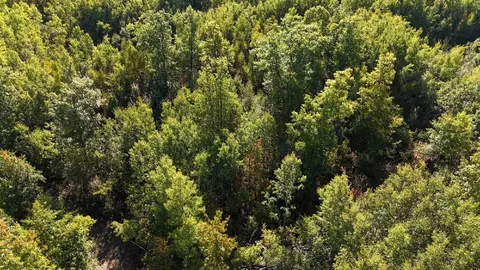 tbd Estates Range Rd, Kerrick, MN 55756 photo 12