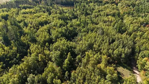tbd Estates Range Rd, Kerrick, MN 55756 photo 4