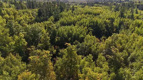 tbd Estates Range Rd, Kerrick, MN 55756 photo 11