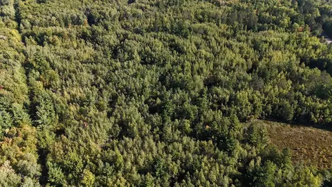 tbd Estates, Kerrick, MN 55756 photo 8