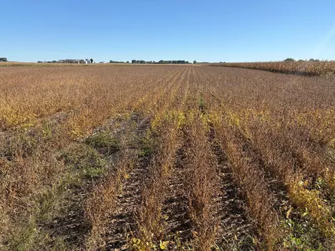 tbd 540th Ave, Wells, MN 56097 photo 19