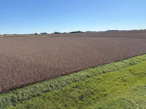 tbd 540th Ave, Wells, MN 56097 photo 3