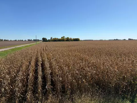 tbd 540th Ave, Wells, MN 56097 photo 14