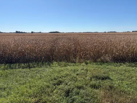 tbd 540th Ave, Wells, MN 56097 photo 8