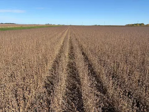 tbd 540th Ave, Wells, MN 56097