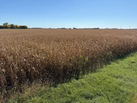 tbd 540th Ave, Wells, MN 56097 photo 17