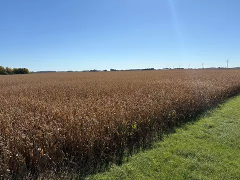 tbd 540th Ave, Wells, MN 56097 photo 13