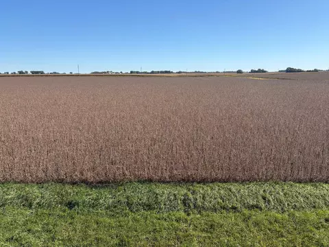 tbd 540th Ave, Wells, MN 56097 photo 10