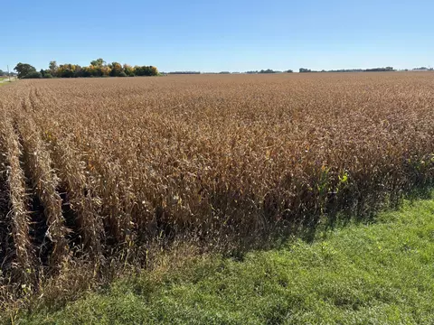 tbd 540th Ave, Wells, MN 56097 photo 15