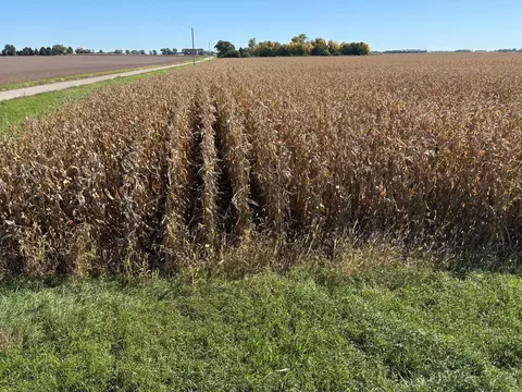 tbd 540th Ave, Wells, MN 56097 photo 16
