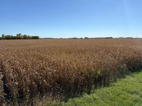 tbd 540th Ave, Wells, MN 56097 photo 21