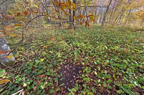 0000 Marthas Rd, Osage, MN 56570 photo 39