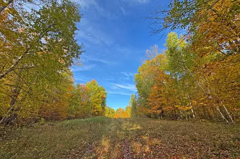 0000 Marthas Rd, Osage, MN 56570 photo 21