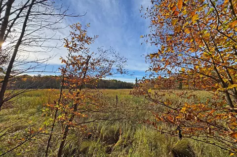 0000 Marthas Rd, Osage, MN 56570 photo 50