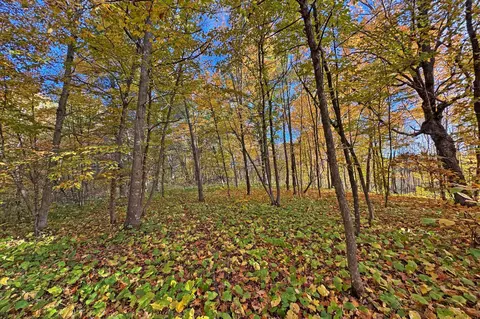 0000 Marthas Rd, Osage, MN 56570 photo 38