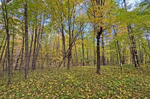0000 Marthas Rd, Osage, MN 56570 photo 42